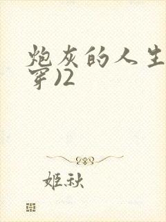 炮灰的人生(快穿)2封面