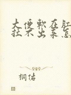 大便软在肛门口拉不出来怎么办封面