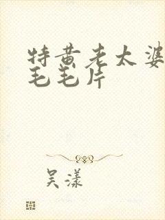 特黄老太婆aa毛毛片