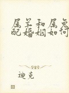 属羊和属兔的相配婚姻如何封面