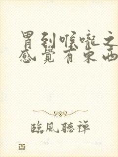 胃到喉咙之间总感觉有东西堵着封面