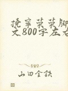 挠宁荣荣脚心作文800字左右