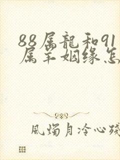 88属龙和91属羊姻缘怎么样
