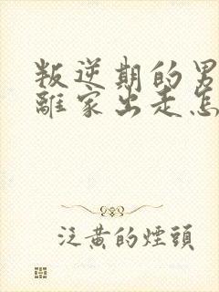 叛逆期的男孩子离家出走怎么去引导初中生