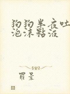 狗狗半夜吐白色泡沫粘液封面