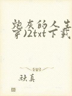 炮灰的人生(快穿)2txt下载