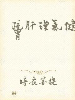 疏肝理气健脾养胃