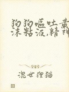 狗狗呕吐黄水泡沫粘液,精神食欲却很好封面