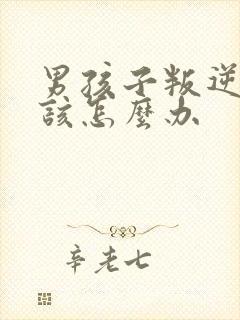 男孩子叛逆父母该怎么办封面