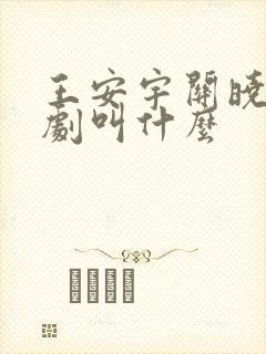 王安宇关晓彤新剧叫什么