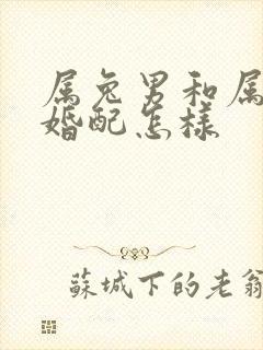 属兔男和属蛇女婚配怎样