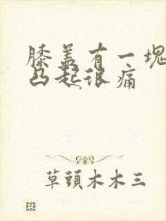 膝盖有一块骨头凸起很痛