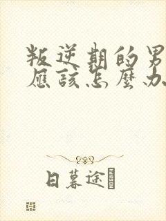 叛逆期的男孩子应该怎么办封面