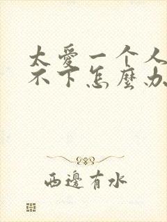 太爱一个人了放不下怎么办封面