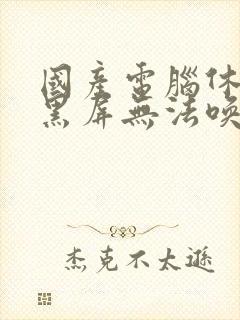 国产电脑休眠后黑屏无法唤醒怎么办