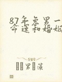 87年兔男一生命运和婚姻
