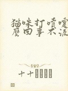 猫咪打喷嚏是怎么回事不流鼻涕