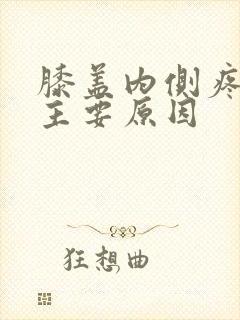 膝盖内侧疼痛的主要原因