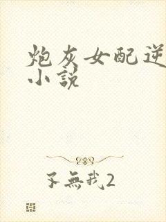 炮灰女配逆袭记小说