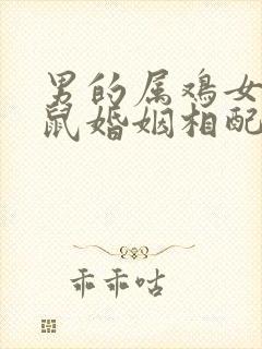 男的属鸡女的属鼠婚姻相配吗