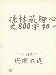 挠林薇脚心的作文800字初一