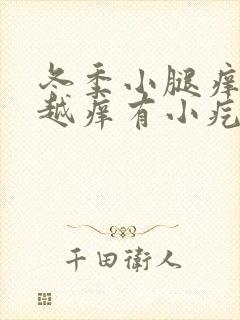 冬季小腿痒越抓越痒有小疙瘩血点