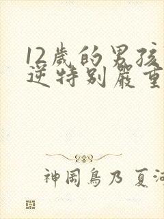 12岁的男孩叛逆特别严重怎么教育