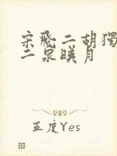 宋飞二胡独奏曲二泉映月