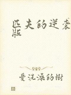 匹夫的逆袭小说版封面