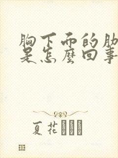 胸下面的肋骨疼是怎么回事封面