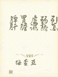 脾胃虚弱引起的肝胆湿热怎么调理