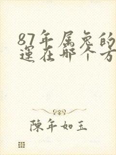 87年属兔的财运在哪个方位