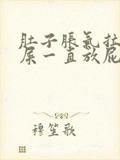 肚子胀气拉不出屎一直放屁封面