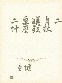 二泉映月二胡用什么弦拉封面