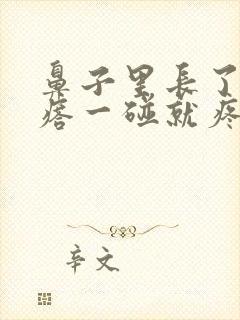 鼻子里长了个疙瘩一碰就疼怎么治