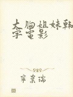 大胸姐妹韩国中字电影封面