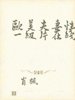 欧美夫妻性生活一级片在线播放