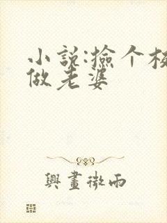 小说:捡个校花做老婆