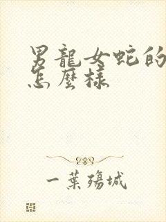 男龙女蛇的婚姻怎么样封面