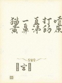 猫一直打喷嚏流黄鼻涕的原因