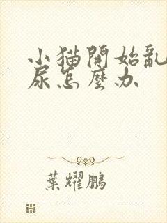 小猫开始乱拉乱尿怎么办