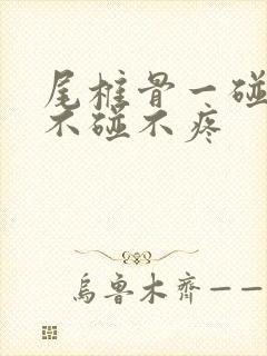 尾椎骨一碰就疼不碰不疼