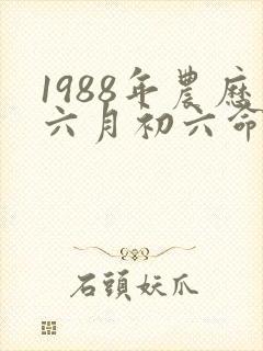 1988年农历六月初六命运怎样