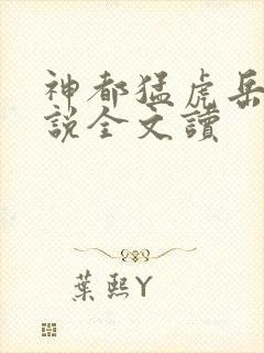 神都猛虎岳风小说全文读封面