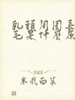 乳头周围长了毛毛是什么原因