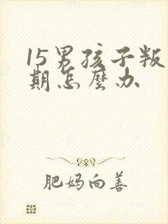 15男孩子叛逆期怎么办