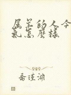 属羊的人今天运气怎么样