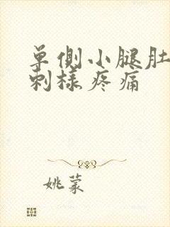 单侧小腿肚子针刺样疼痛