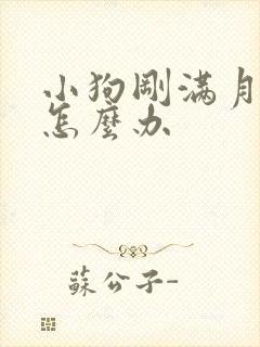 小狗刚满月拉稀怎么办