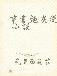 穿书炮灰逆袭记 小说